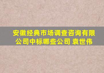 安徽经典市场调查咨询有限公司中标哪些公司 袁世伟